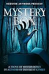Mystery Box: Sconnie Authors' Present