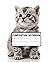 Cute Kitten Notebook: Wide-Ruled, 7.5 x 9.25, 100 Pages, For kids, teens, and adults (Composition Notebooks)