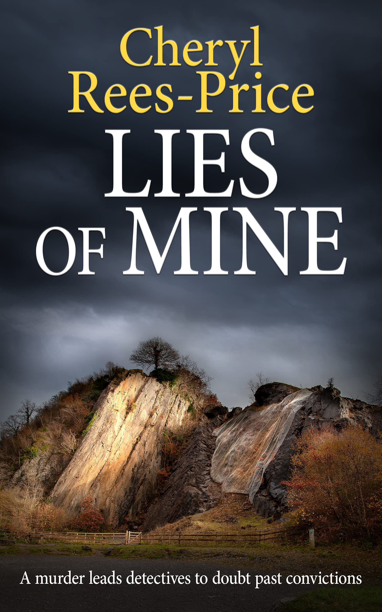 Lies of Mine (DI Winter Meadows, #5)