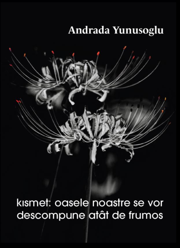 kısmet: oasele noastre se vor descompune atât de frumos (Paperback)