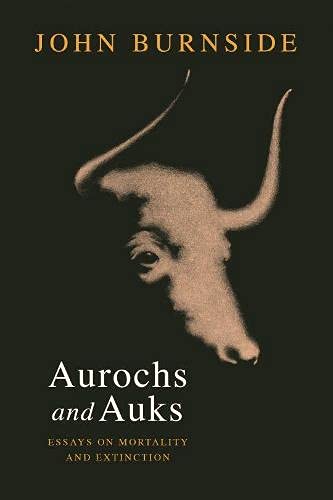 Aurochs and Auks: Essays on Mortality and Extinction (Hardcover)