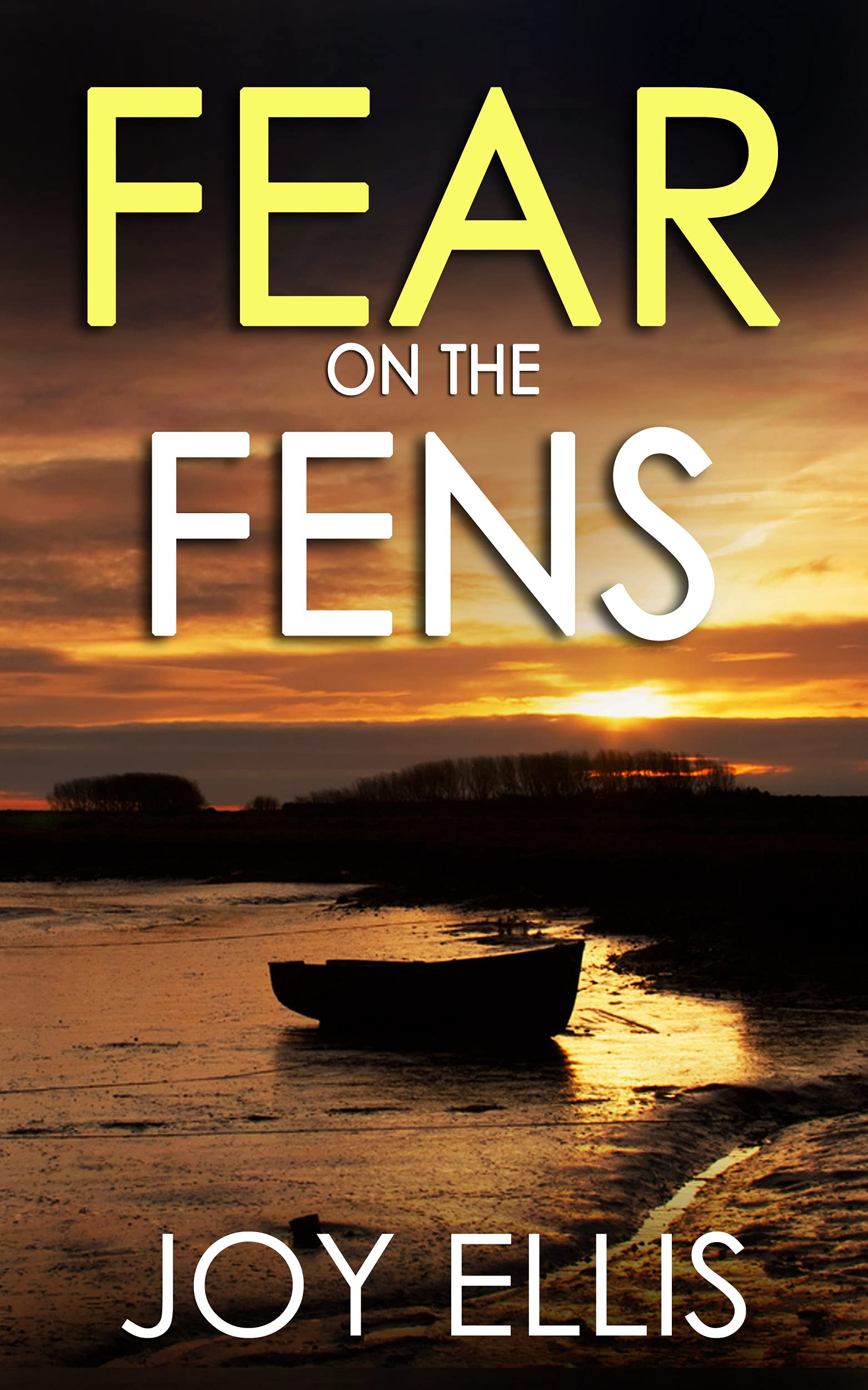 Fear on the Fens (DI Nikki Galena #13)