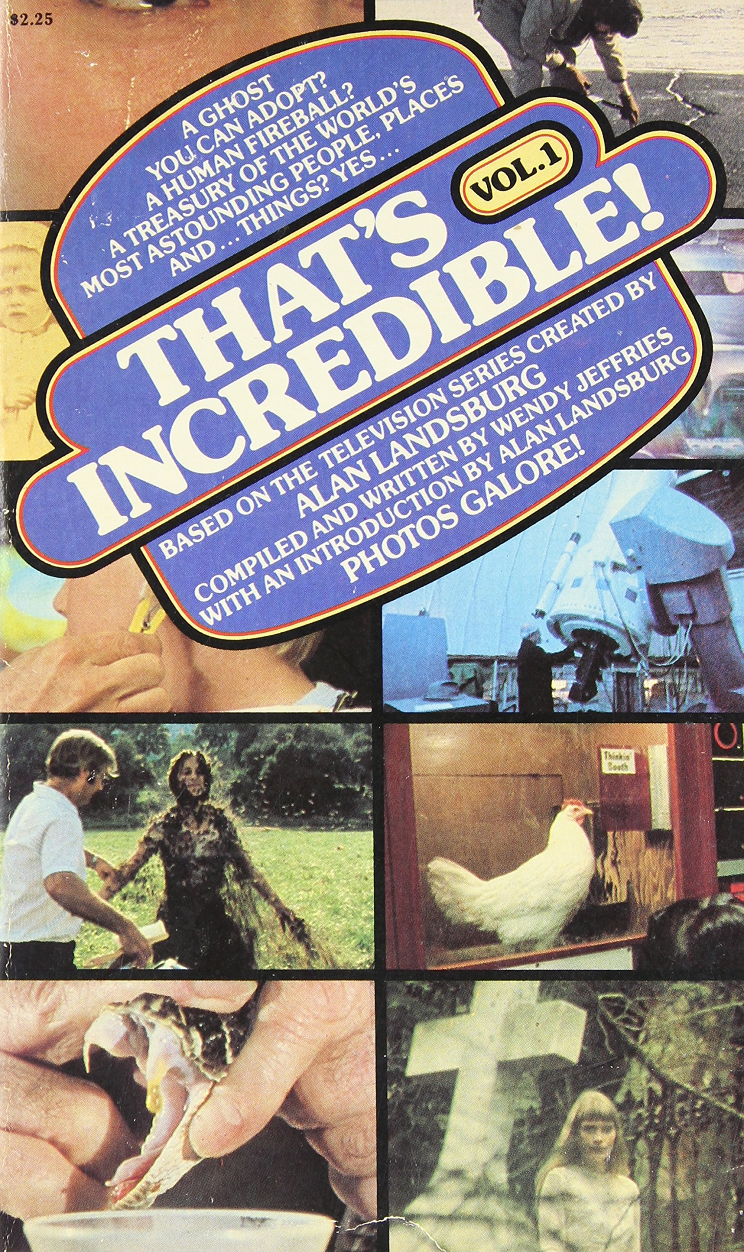 That's Incredible (Paperback)