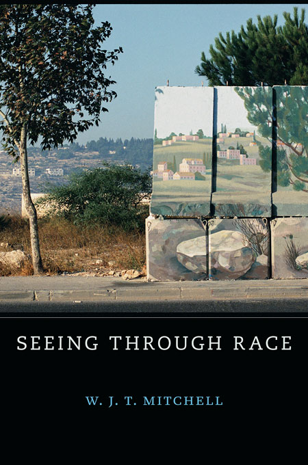 Seeing Through Race (The W. E. B. Du Bois Lectures)