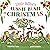 Little Bilby's Aussie Bush Christmas by Yvonne Mes