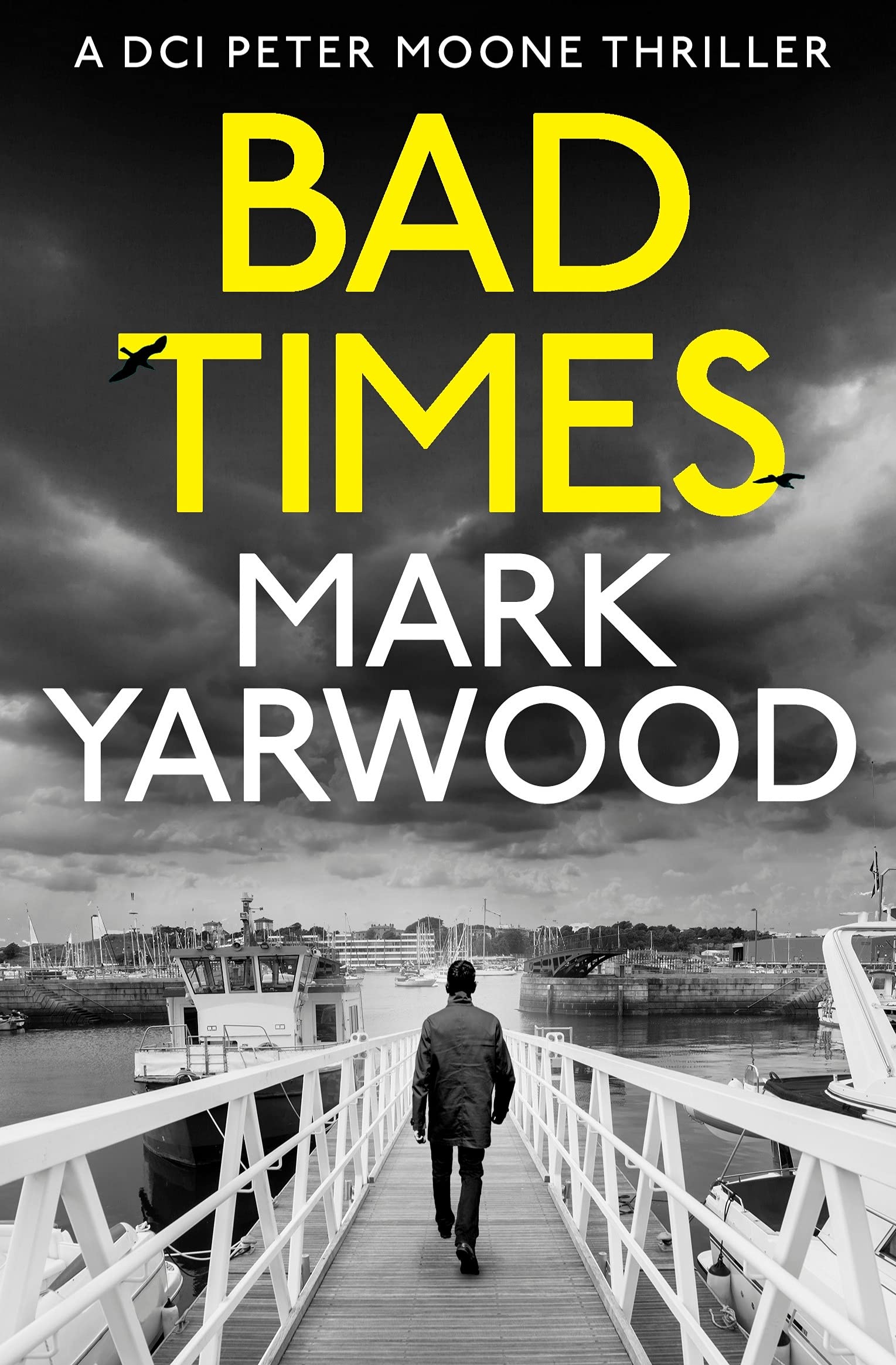 Bad Times (DCI Peter Moone #1)