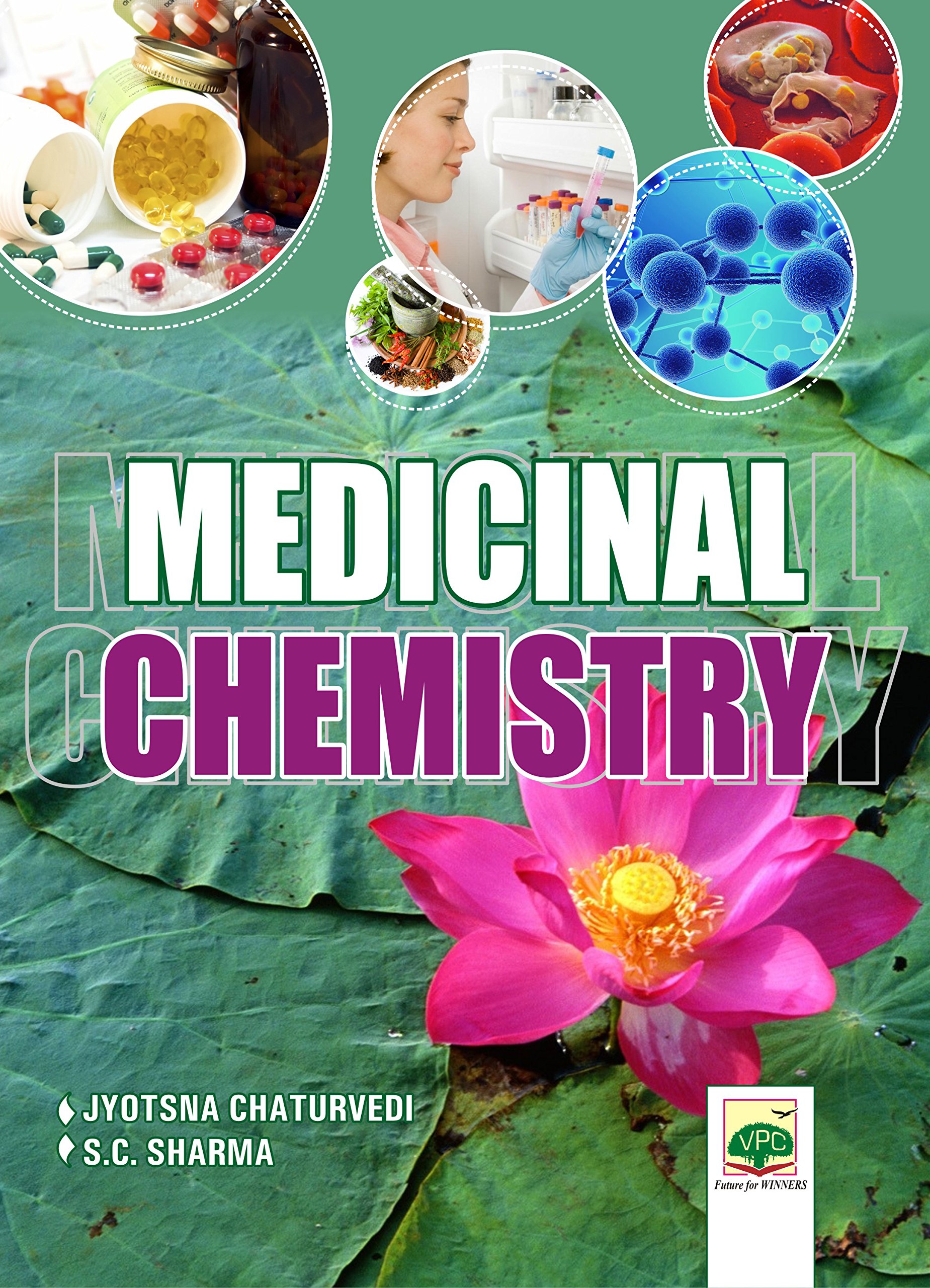 Medicinal Chemistry (Paperback)