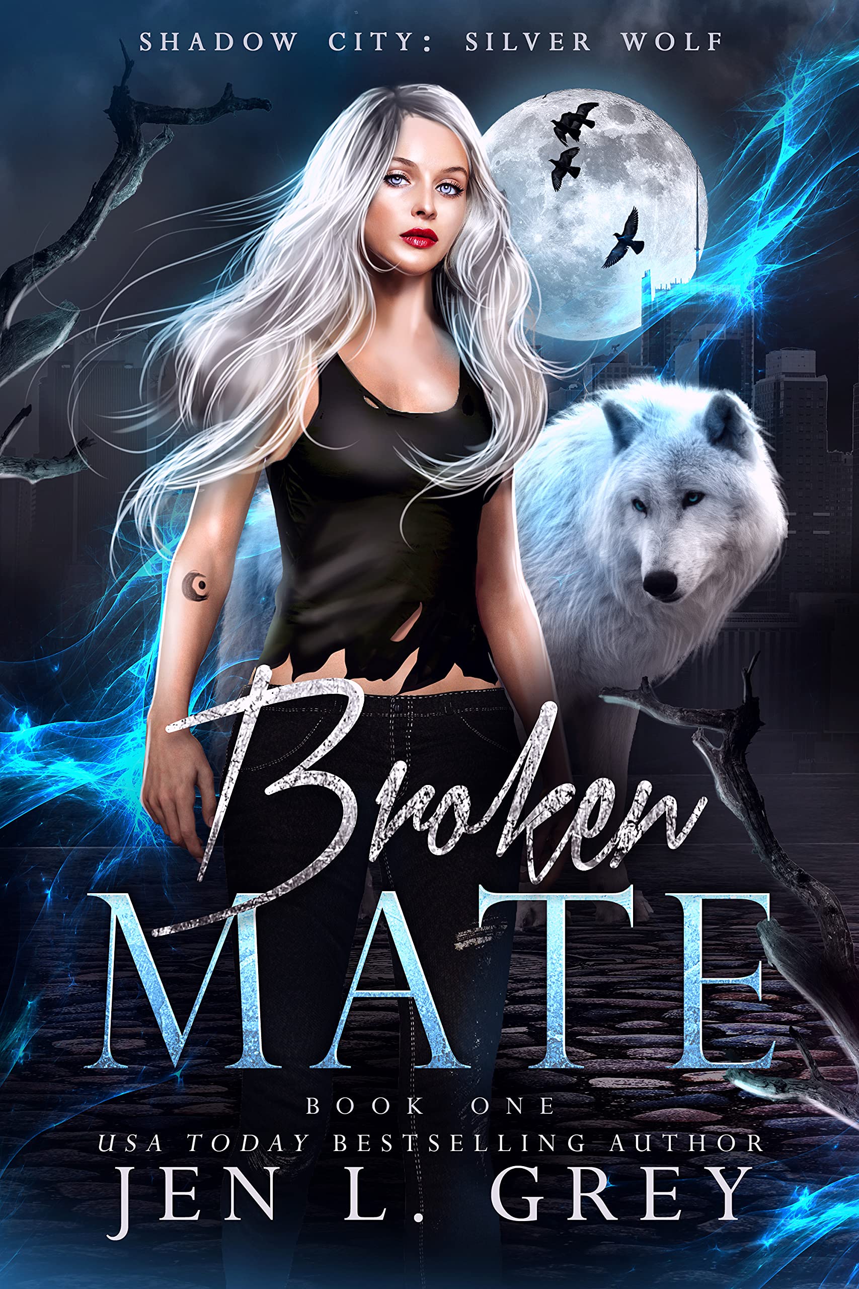 Broken Mate (Shadow City: Silver Wolf, #1)
