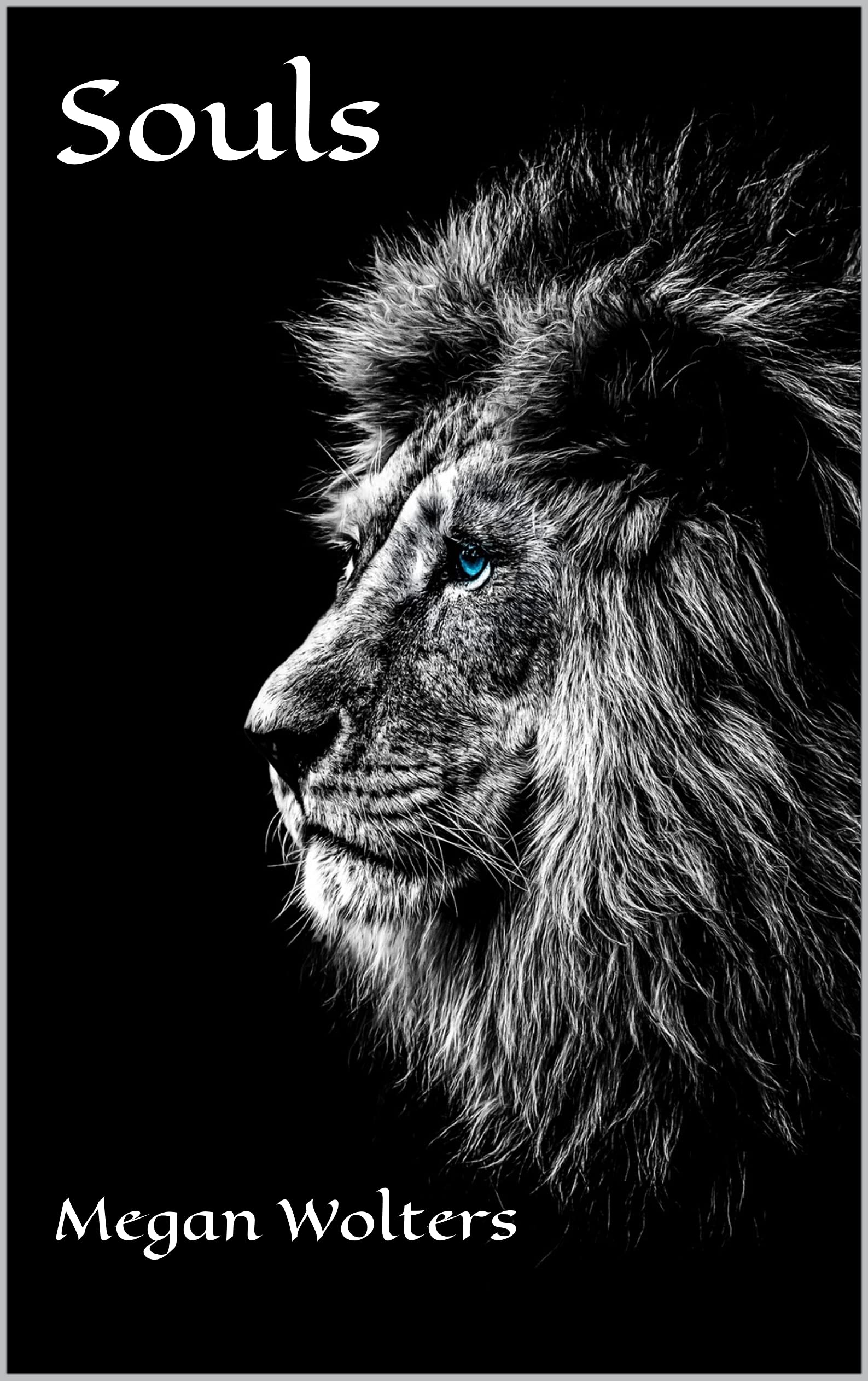 Souls (Shadow World, #1)