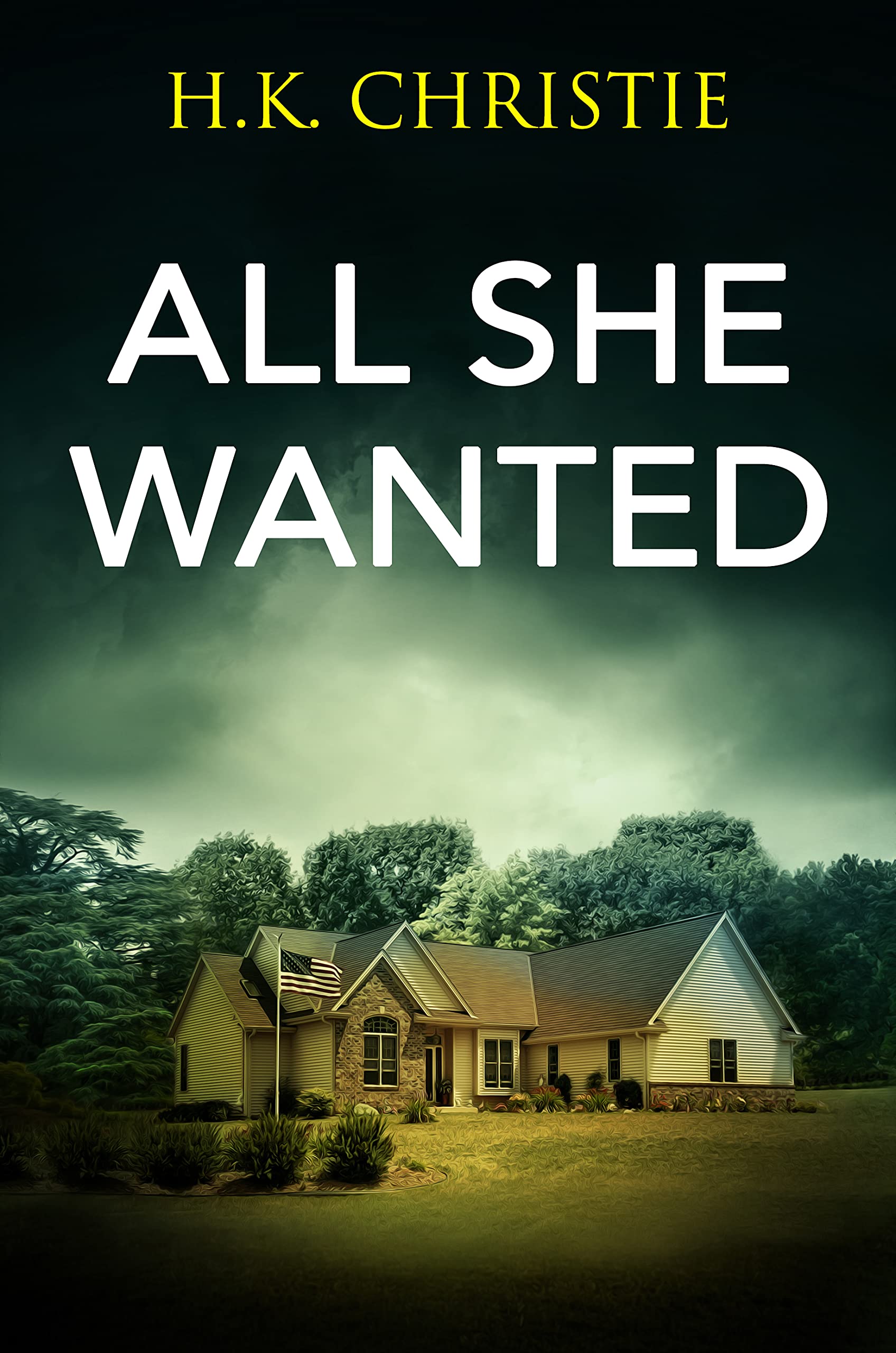 All She Wanted (Martina Monroe, #3)