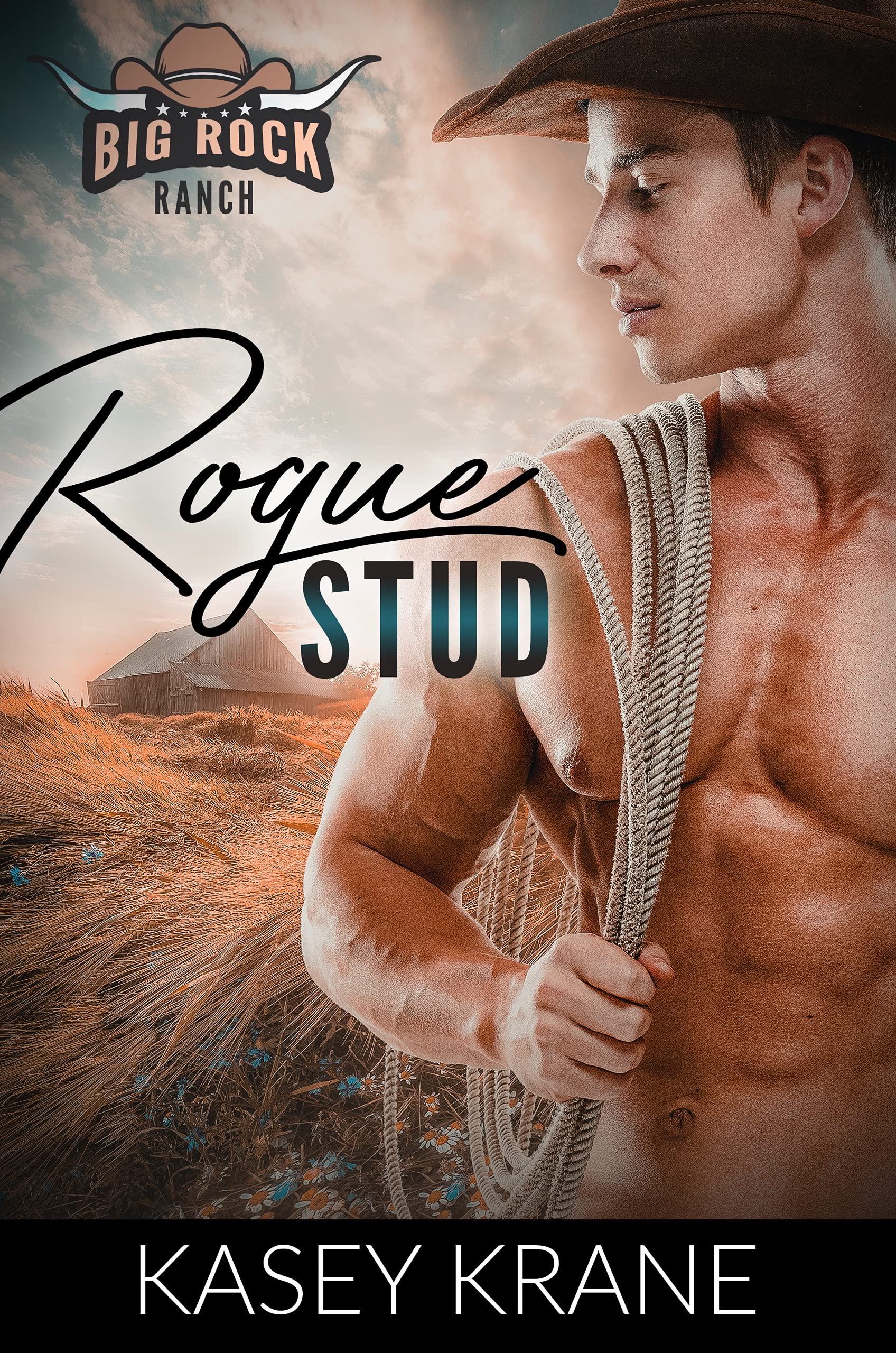 Rogue Stud (Big Rock Ranch #1)