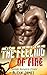 The Feeling of Fire: Firema...