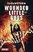Wounded Little Gods