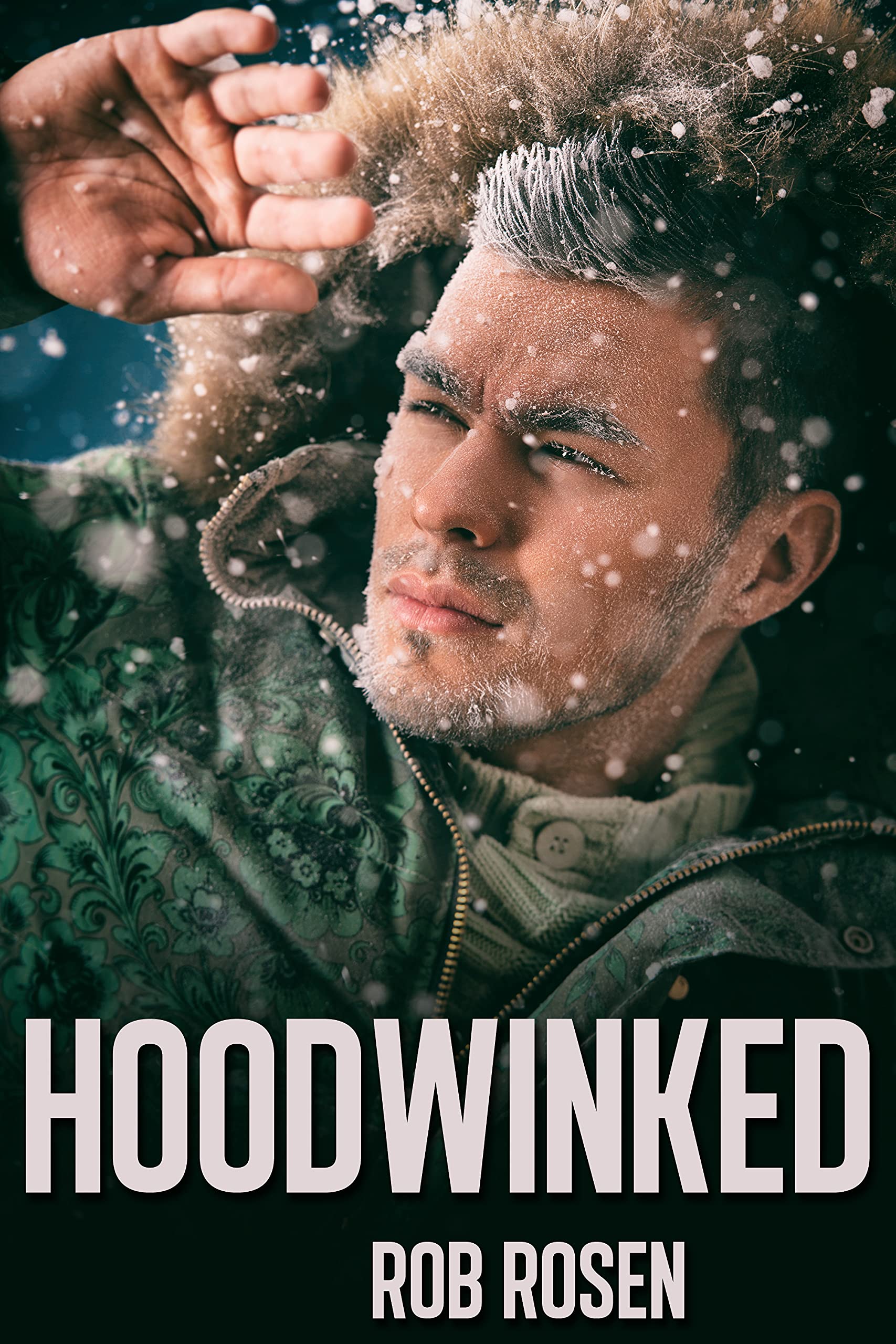Hoodwinked (Kindle Edition)