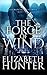 The Force of Wind by Elizabeth   Hunter