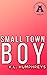 Small Town Boy: The All Ame...