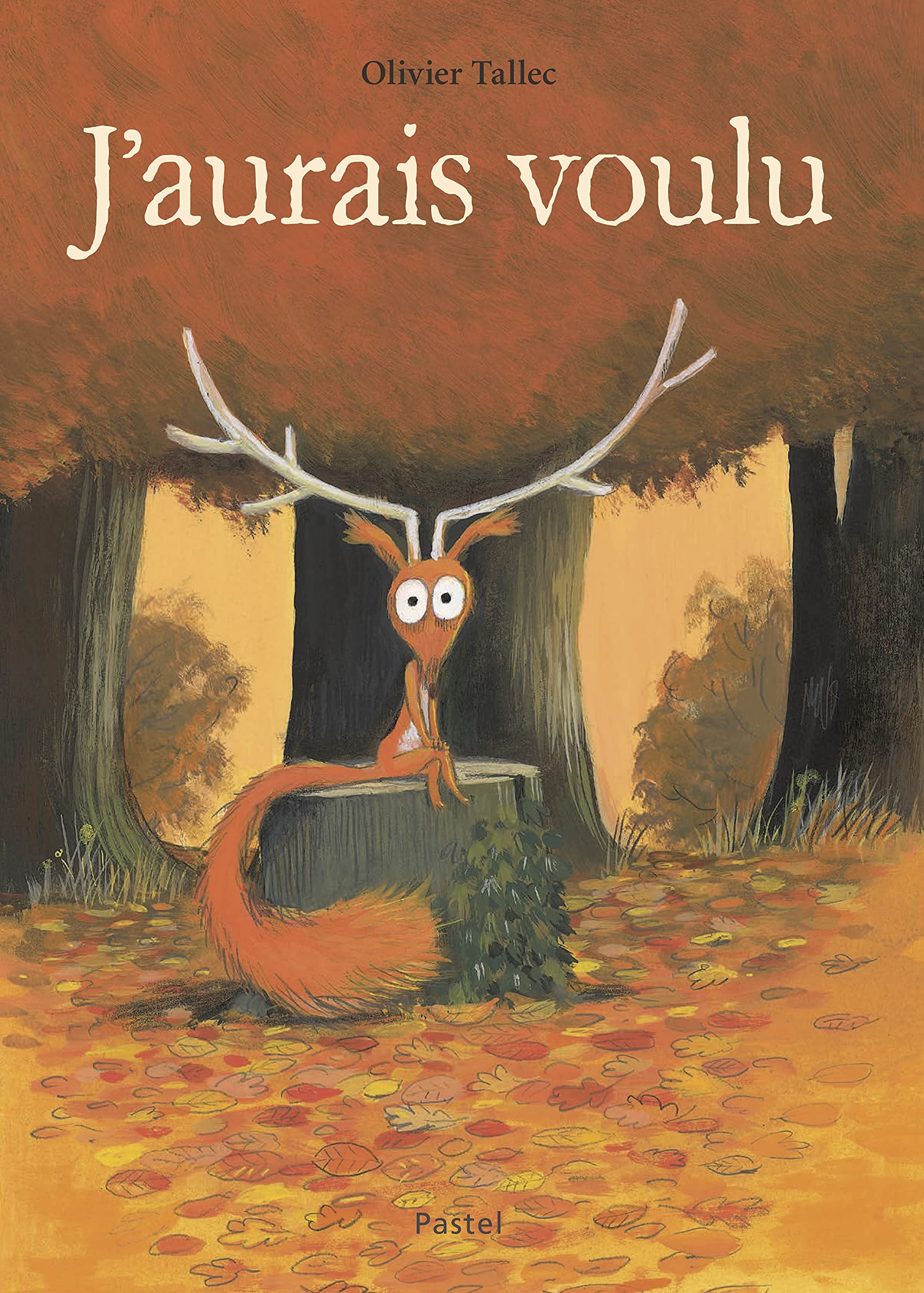 J'aurais voulu (Hardcover)
