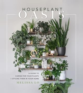 Houseplant Oasis: A Guide to Caring for Your Plants + Styling Them in Your Home