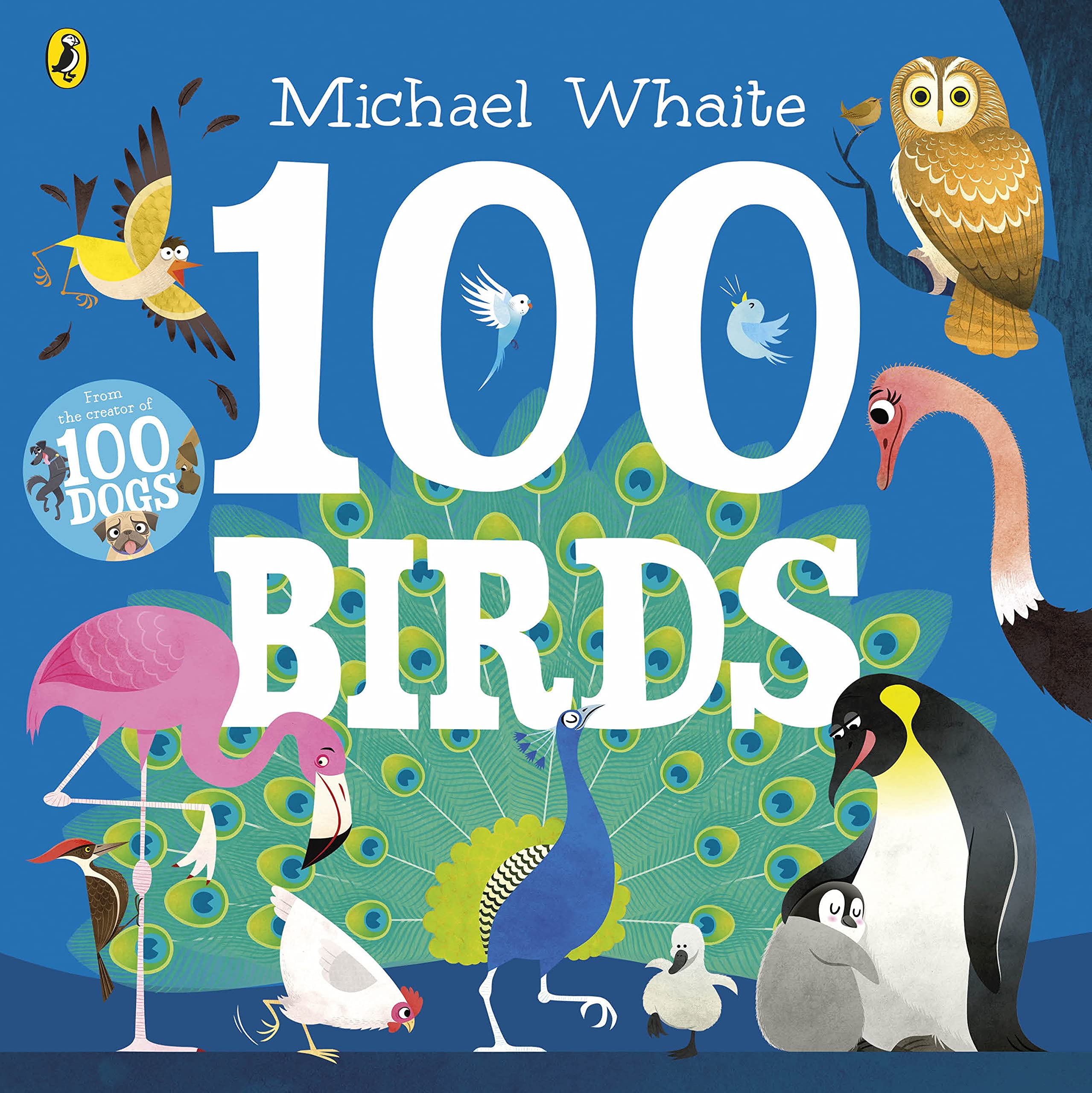 100 Birds (Paperback)