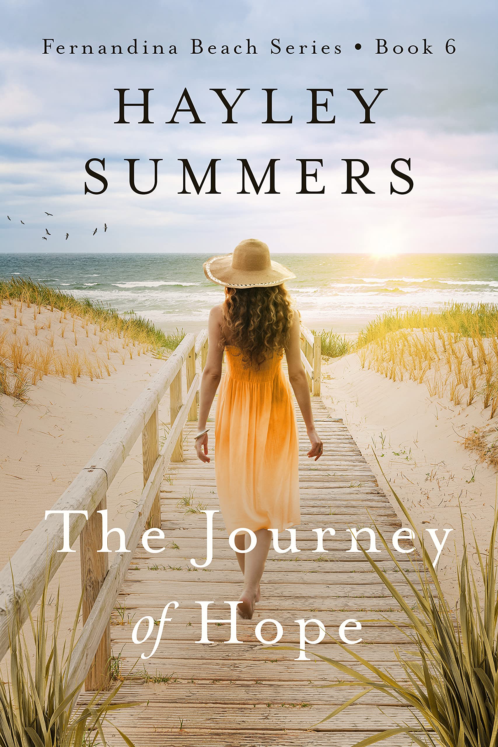 The Journey Of Hope 6 (Fernandina Beach Series Book 6)