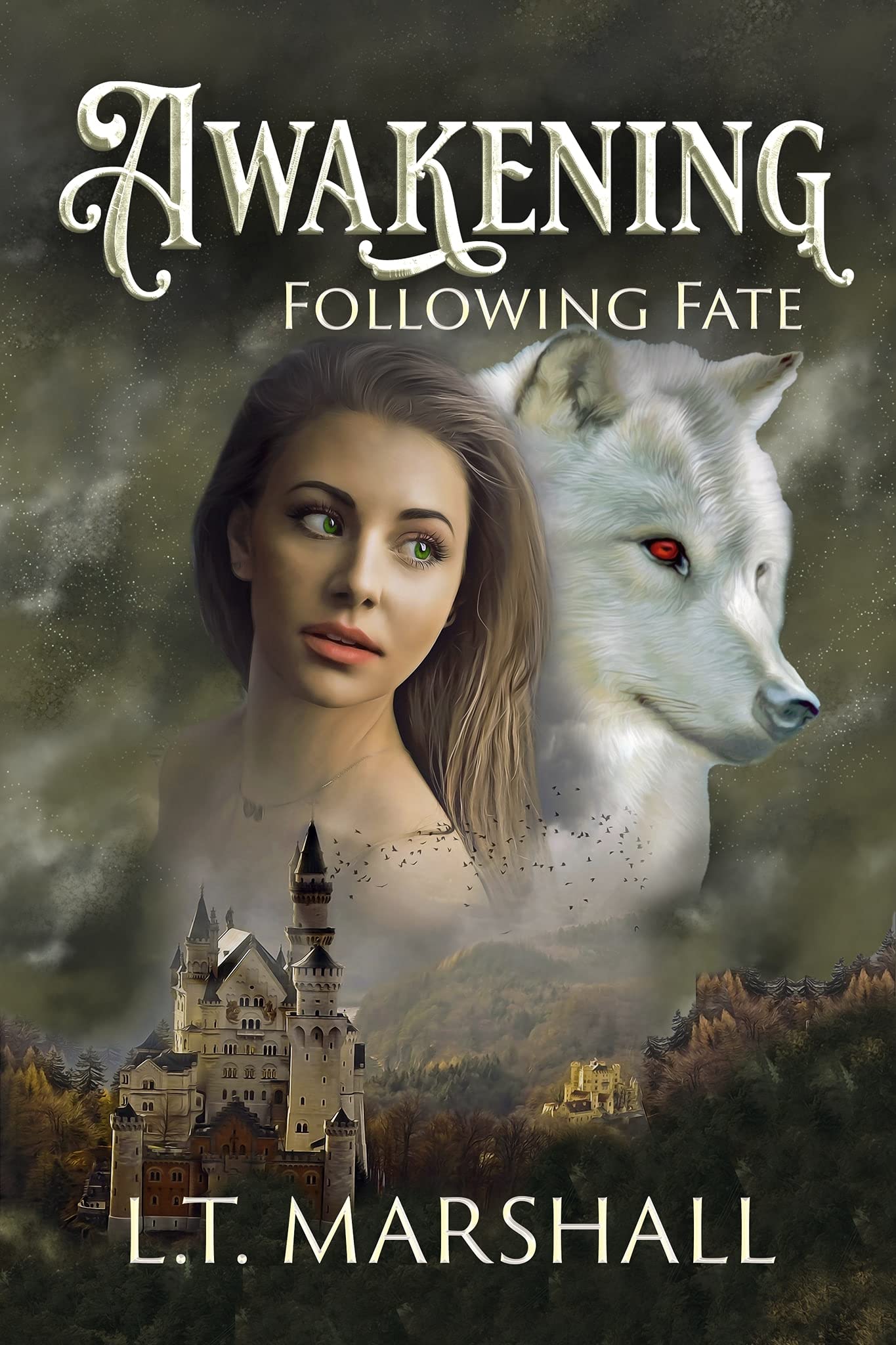 Awakening: Following Fate (Kindle Edition)