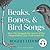 Beaks, Bones and Bird Songs: How the Struggle for Survival Has Shaped Birds and Their Behavior