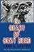 The Beast of Bray Road by Linda S. Godfrey