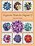 Exquisite Modular Origami II