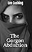 The Gorgon Abduction by Lee Cushing