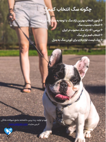 راهنمای کامل و تست انتخاب نژاد سگ