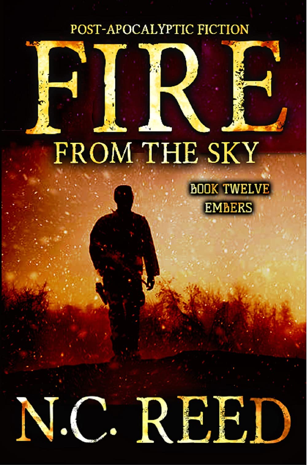 Fire From the Sky : Embers (Kindle Edition)