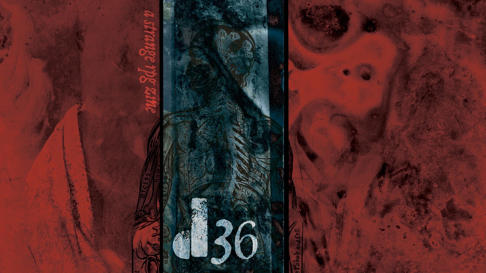 d36, Issue 1: Red (d36 #1)