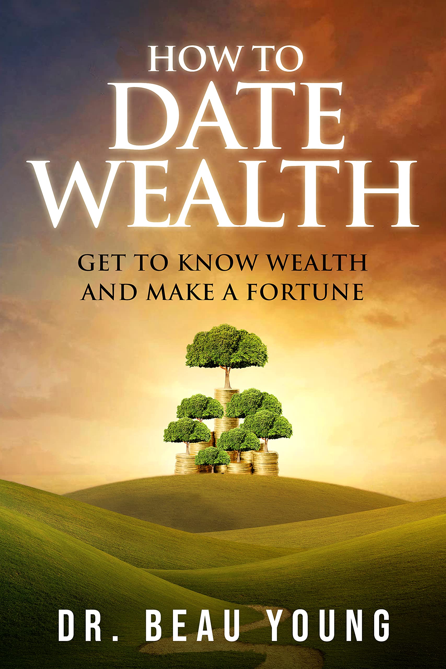 HOW TO DATE WEALTH: GET TO KNOW WEALTH AND MAKE A FORTUNE (Kindle Edition)