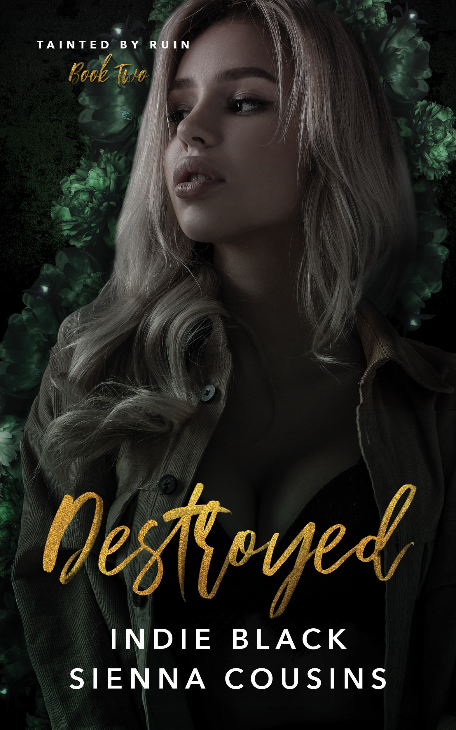Destroyed (Tainted by Ruin Trilogy, #2)