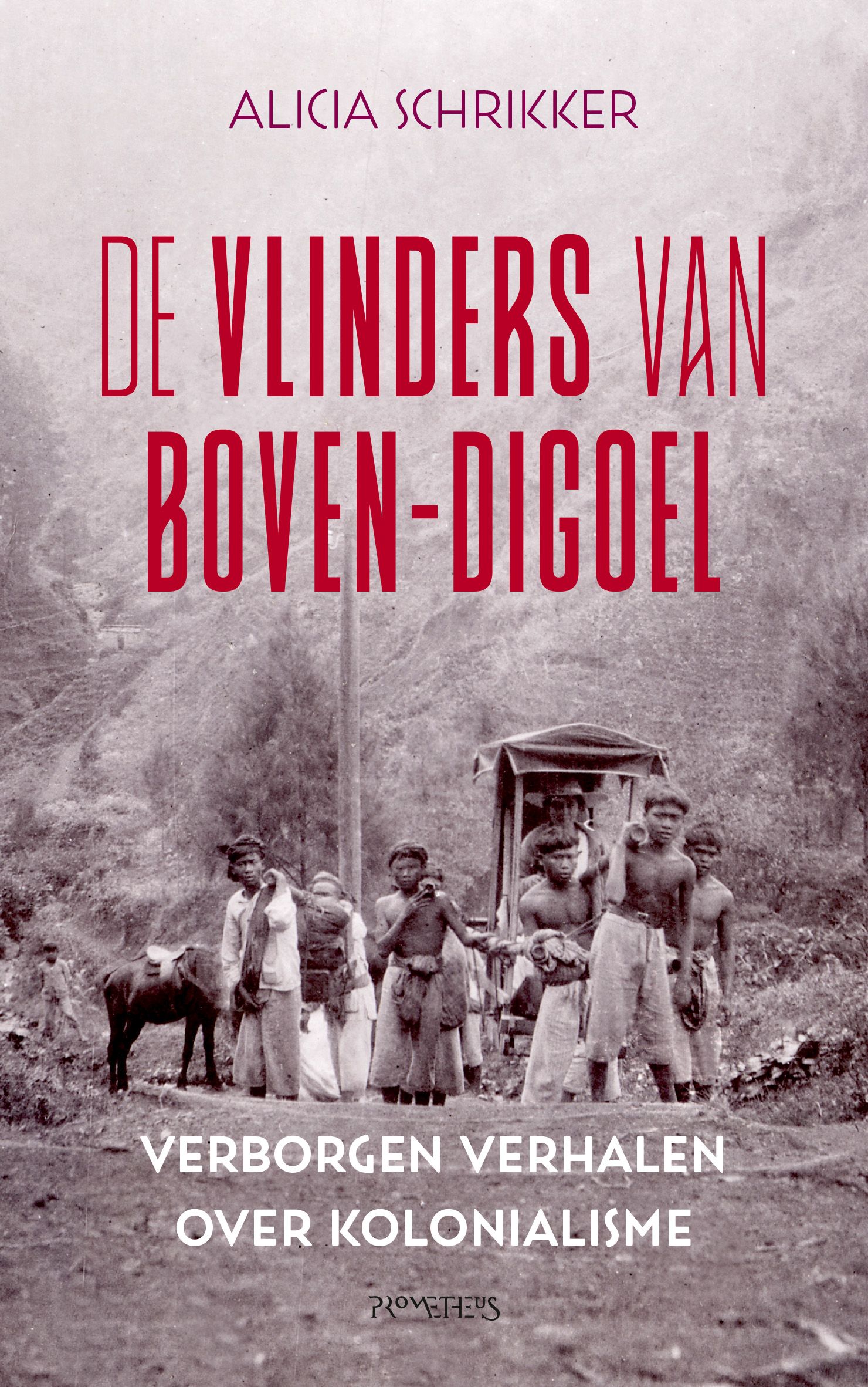 De vlinders van Boven-Digoel (Paperback)