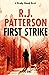 First Strike (A Brady Hawk Novel)