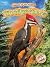 Woodpeckers by Patrick Perish
