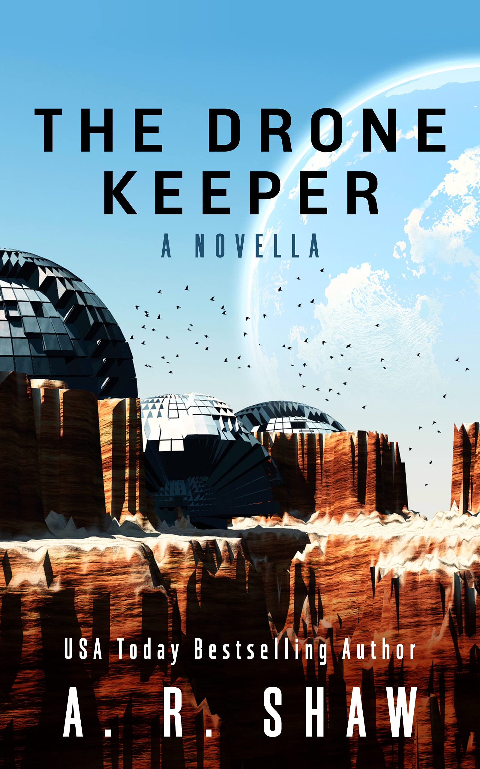 The Drone Keeper (Watch the Wreckage #1)
