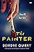 The Painter
