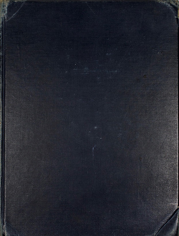 Count Fanny's Nuptials: Being the Story of a Courtship (Hardcover)