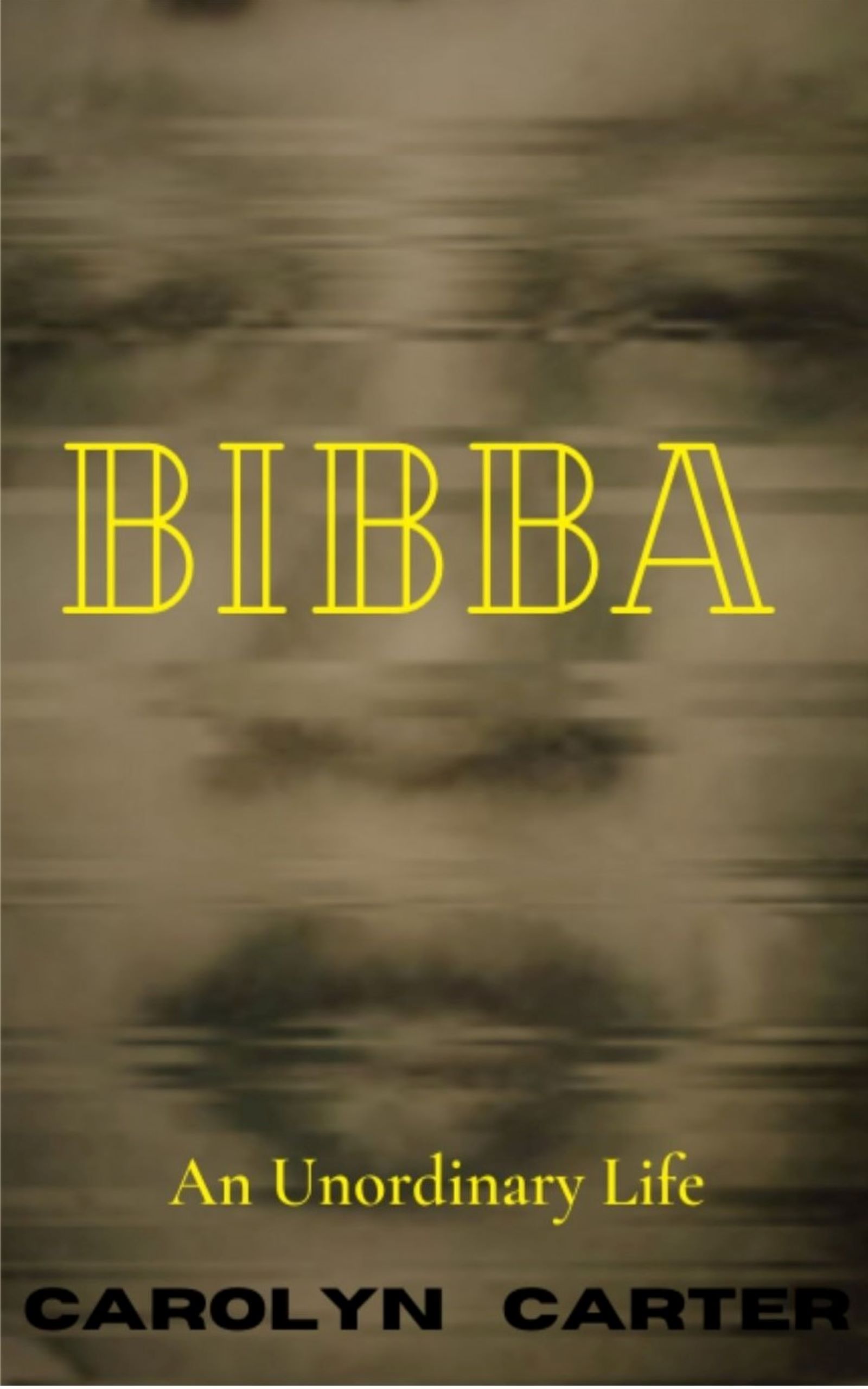 Bibba  An Unordinary Life