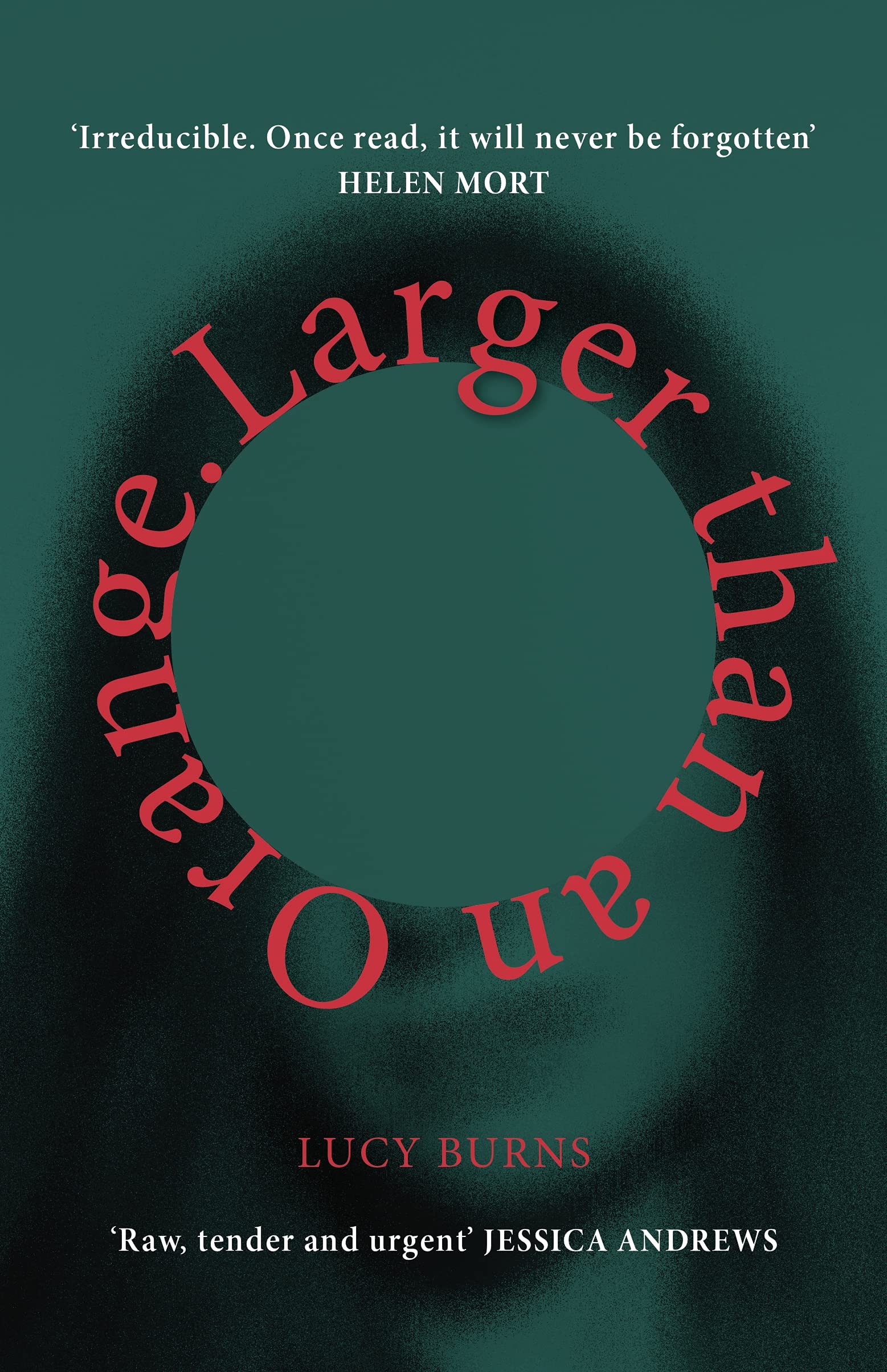 Larger than an Orange (Hardcover)