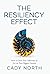 The Resiliency Effect: How to Own Your Adversity to Act on Your Biggest Dreams