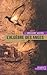 L'algèbre des anges (L'âge de la déraison, #2)