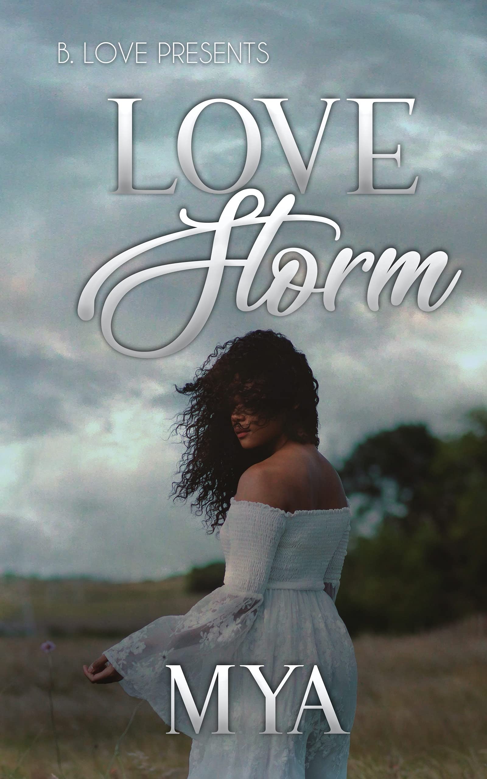 Love Storm (Kindle Edition)