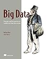 Big Data: Princip...
