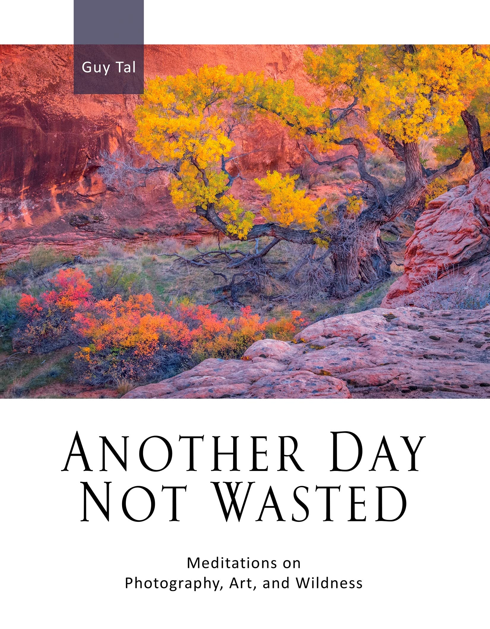 Another Day Not Wasted: Meditations in Photography, Art, and Wildness (Kindle Edition)