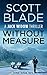 Without Measure (Jack Widow, #4)