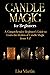 Candle Magic for Beginners:...
