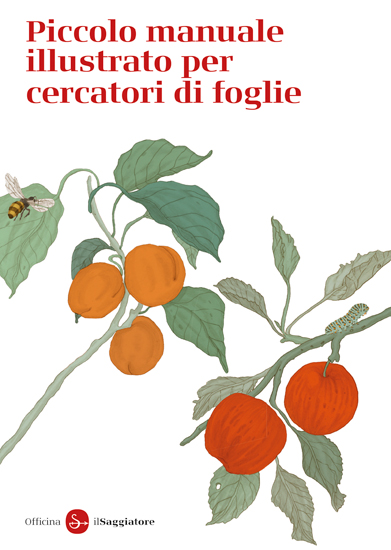 Piccolo manuale illustrato per cercatori di foglie (Paperback)